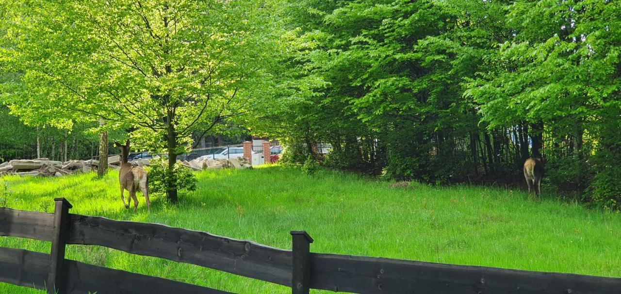Domek Tylko Tu Szklarska Poręba Exterior foto