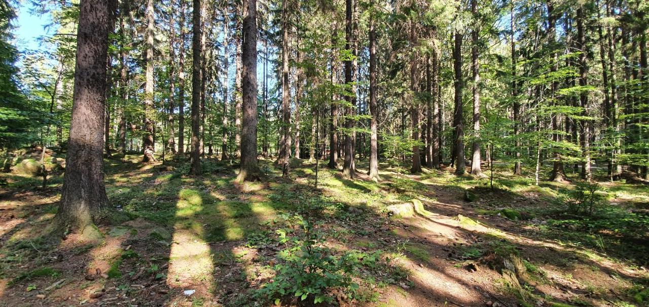 Domek Tylko Tu Szklarska Poręba Exterior foto