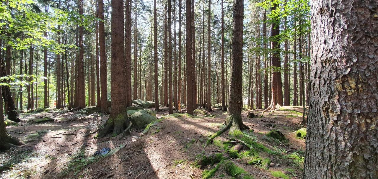 Domek Tylko Tu Szklarska Poręba Exterior foto